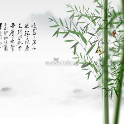 Bụi trúc xanh và đôi bướm
