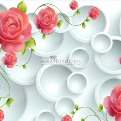 Hoa hồng 3D và vòng tròn