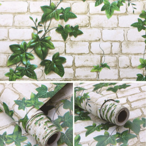 Giấy decal cuộn dây leo xanh 2