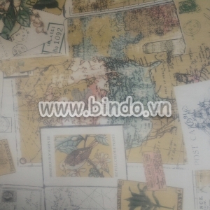 Giấy decal cuộn bản đồ động thực vât
