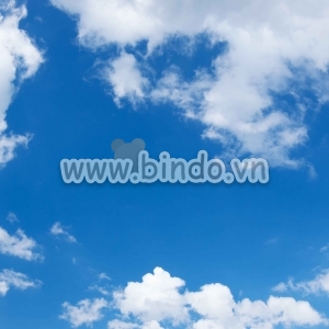 Bấu trời 10