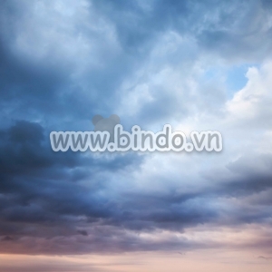 Bấu trời 11