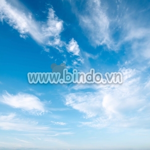 Bấu trời 12