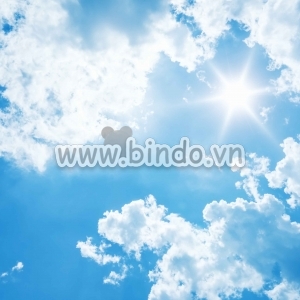 Bấu trời 13