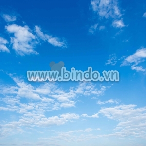 Bấu trời 4