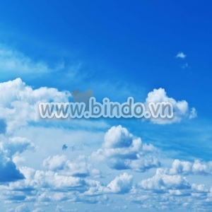 Bấu trời 9