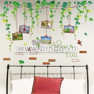 Decal dán tường Dây leo xanh Photo