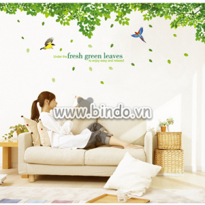 Decal dán tường Giàn cây bóng mát
