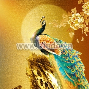 Tranh vẽ chim công vàng