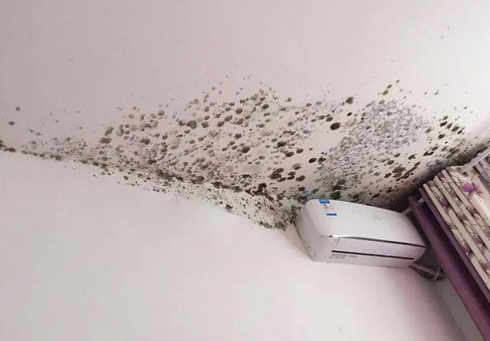 Xốp dán tường bị bong: Nguyên nhân và cách khắc phục