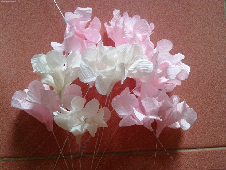 Chỉ bạn cách làm hoa cẩm tú cầu bằng giấy nhún 5