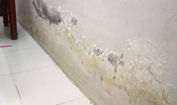 Các yếu tố ảnh hưởng đến độ bền của giấy dán tường bạn nên biết 1