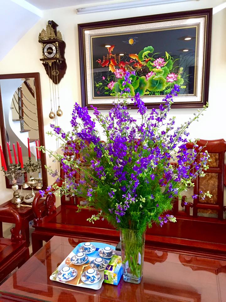 Mẹo cắm hoa violet tươi lâu đến 7 ngày  2