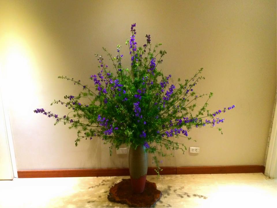 Mẹo cắm hoa violet tươi lâu đến 7 ngày  1