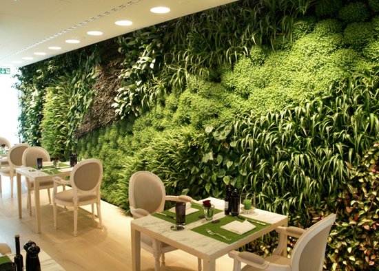 Tạo điểm nhấn cho trang trí nhà lạ mắt, ấn tượng 2