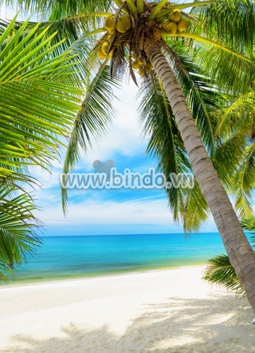 Tham khảo những mẫu tranh dán tường khổ lớn đẹp 1