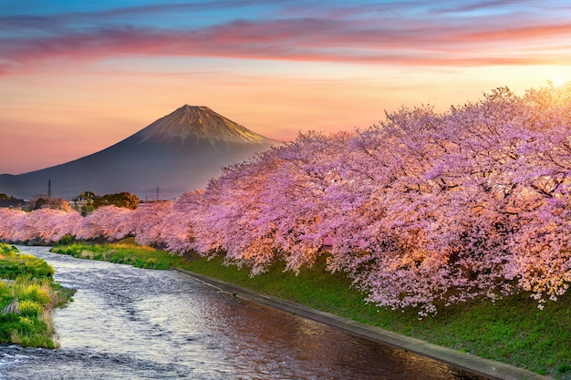 Hình ảnh Tranh dán tường phong cảnh Nhật Bản đẹp 34