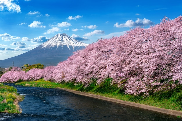 Hình ảnh Tranh dán tường phong cảnh Nhật Bản đẹp 26