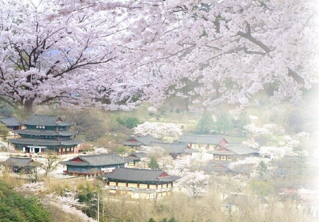 Tranh dán tường phong cảnh Hàn Quốc đẹp thi công tận nơi TPHCM 1