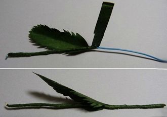 Cách làm hoa cúc giấy cánh tròn bằng giấy A4 đơn giản và ý nghĩa của hoa cúc 5