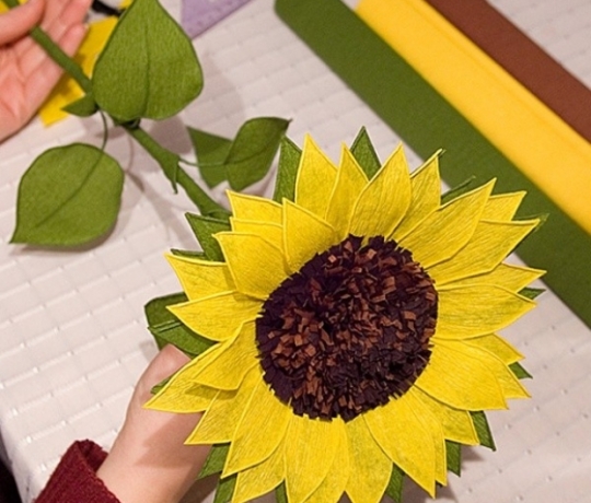 Học cách làm hoa hướng dương bằng giấy nhún đơn giản mà đẹp 10