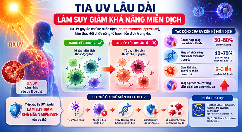 Lợi ích phim cách nhiệt với sức khỏe: Cản 99% tia UV bảo vệ da và nội thất 5