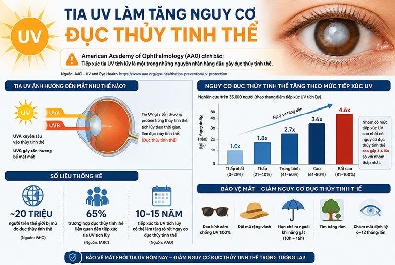Lợi ích phim cách nhiệt với sức khỏe: Cản 99% tia UV bảo vệ da và nội thất 4