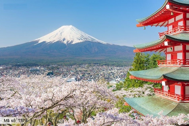 Tranh dán tường phong cảnh Nhật Bản đẹp thi công tận nơi TPHCM 5