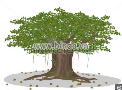 Tranh cây đa -