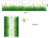 Decal dán tường chân tường cỏ xanh, màu xanh, dán chân tường phòng ngủ, 1,4 x 0,4 (m) (dài x rộng) TPHCM - 4
