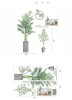 Decal cây xanh tươi tốt, có sẵn keo, dán phòng ngủ, TPHCM  - 5