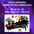 Decal Halloween- Bia mộ và quả bí treo - 1