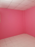Giấy decal dán tường màu hồng nhám dán phòng bé, phòng ngủ - 