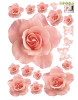 Decal hoa hồng nhiều bông hồng to nhỏ xen kẽ - 2