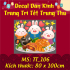 Tết trung thu combo 1- Thỏ ăn bánh - 2