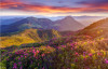 Tranh cảnh Mặt trời mọc đầy màu sắc tuyệt vời ở vùng núi với những đám mây màu và hoa đỗ quyên màu hồng  - 