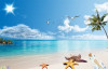 Tranh cảnh biển chim trắng bay lượn giữa trời - 