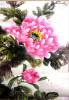 Tranh dán tường  hoa mẫu đơn hồng - 1