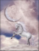 Tranh dán tường mã đáo thành công ngựa trắng và mặt trăng - 1