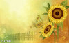 Tranh dán tường  phong cảnh hoa hướng dương vàng - 1