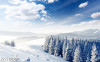 Tranh dán tường  phong cảnh mùa đông - 