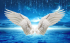 Tranh đôi cánh thiên thần màu trắng - 1