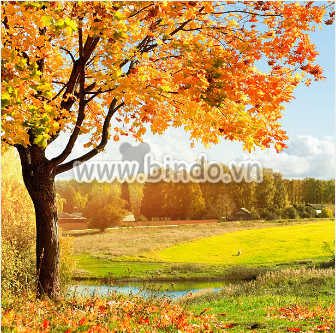 Tranh vũ điệu mùa thu -