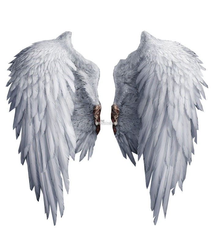 Cánh thiên thần 3D trắng