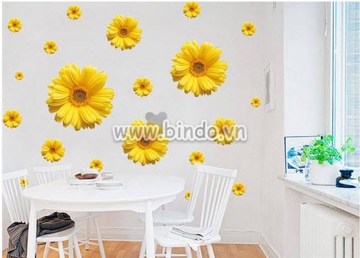 Decal dán tường Hoa cúc đồng tiền vàng