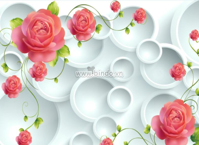 Tranh dán tường Hoa hồng 3D và vòng tròn