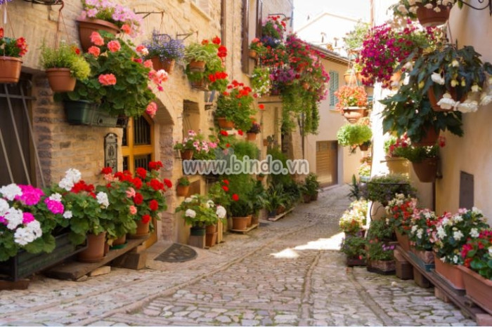 Tranh Alley với hoa