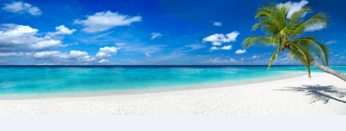 Tranh bãi biển thiên đường nhiệt đới với cát trắng