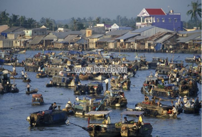 Tranh Chợ trên sông Mekong gần thành phố Cần Thơ ở ĐBSCL ,Việt Nam