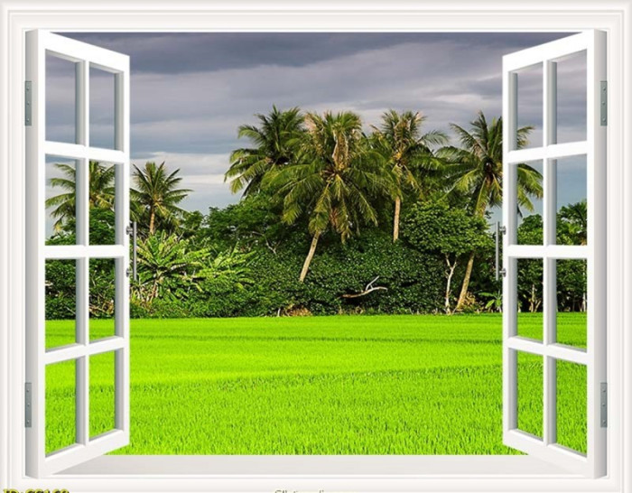 Tranh dán tường cửa sổ đồng lúa và dừa xanh